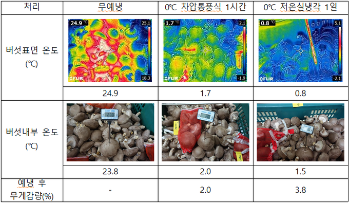 표고 참아람 예비냉장 후 버섯온도와 무게 감량.