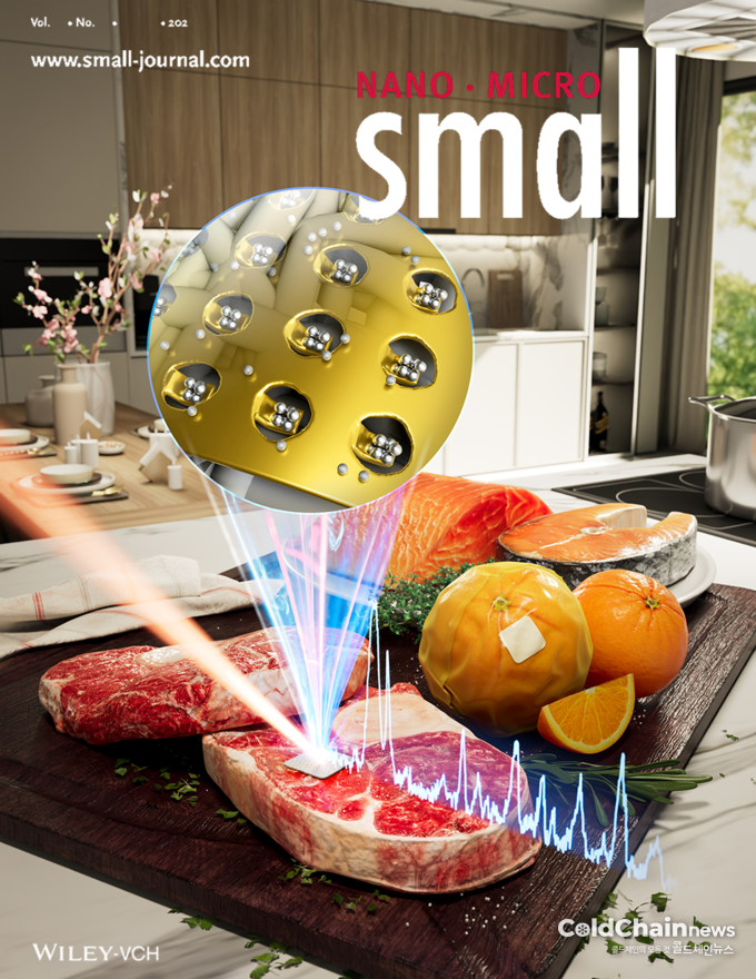 Small 뒷면 표지.