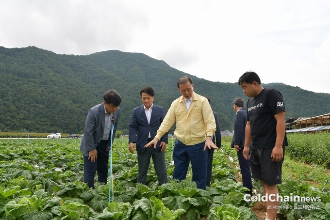 홍문표 aT 사장이 여름배추(하라듀) 포전현장을 방문해 현장점검하고 있다.